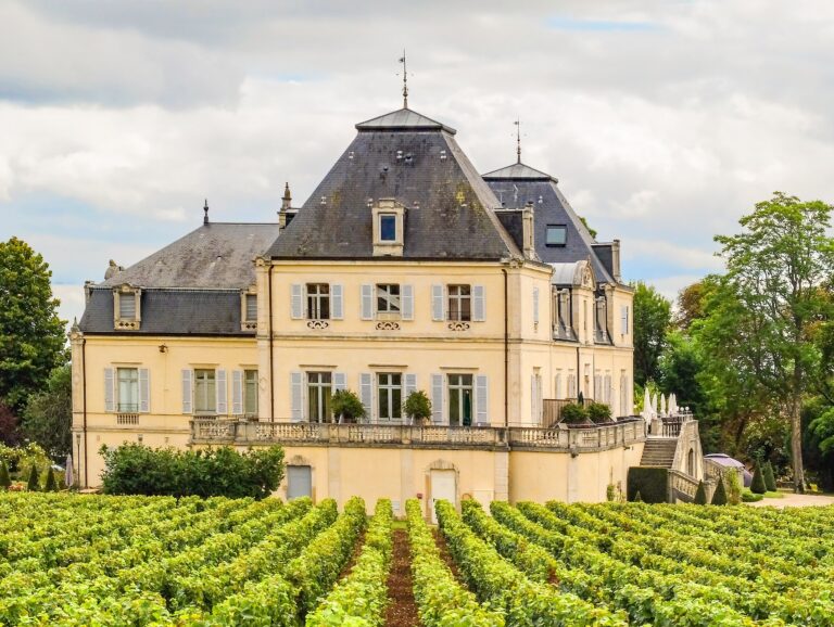 Visite Guidée Meursault